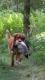 Hier klicken zum Ansehen IMG-20210801-WA0106_t1.jpg