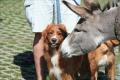 Hier klicken zum Ansehen IMG_5706_t1.jpg