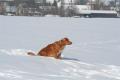 Hier klicken zum Ansehen IMG_7986_t1.jpg