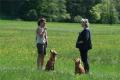 Hier klicken zum Ansehen IMG_9266_t1.jpg