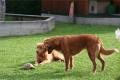 Hier klicken zum Ansehen IMG_9313_t1.jpg