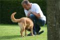 Hier klicken zum Ansehen IMG_9365_t1.jpg
