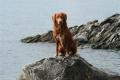 Hier klicken zum Ansehen IMG_4499_t1.jpg