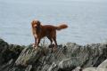Hier klicken zum Ansehen IMG_4524_t1.jpg