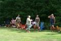 Hier klicken zum Ansehen IMG_9628_t1.jpg