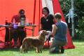 Hier klicken zum Ansehen IMG_9660_t1.jpg