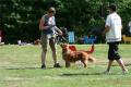 Hier klicken zum Ansehen IMG_9684_t1.jpg
