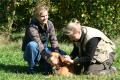 Hier klicken zum Ansehen IMG_1553_t1.jpg