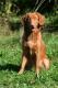 Hier klicken zum Ansehen IMG_1587_t1.jpg