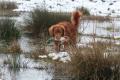 Hier klicken zum Ansehen IMG_6539_t1.jpg