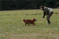 Hier klicken zum Ansehen IMG_7533_t1.jpg