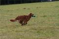 Hier klicken zum Ansehen IMG_7549_t1.jpg