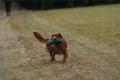 Hier klicken zum Ansehen IMG_7567_t1.jpg