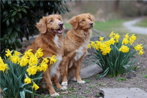 Gunner und Edana