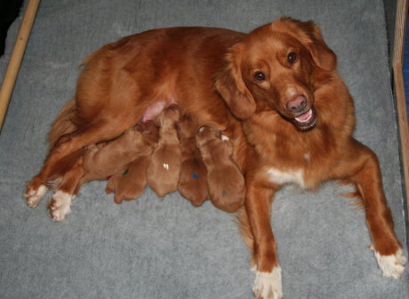Caylee mit ihren fünf Kindern