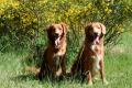 Hier klicken zum Ansehen IMG_0048_t1.jpg